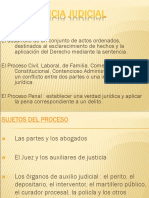20090721-La Pericia Judicial Miguel Angel Rivera