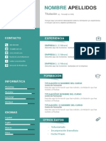 Plantilla Curriculum Vitae 10