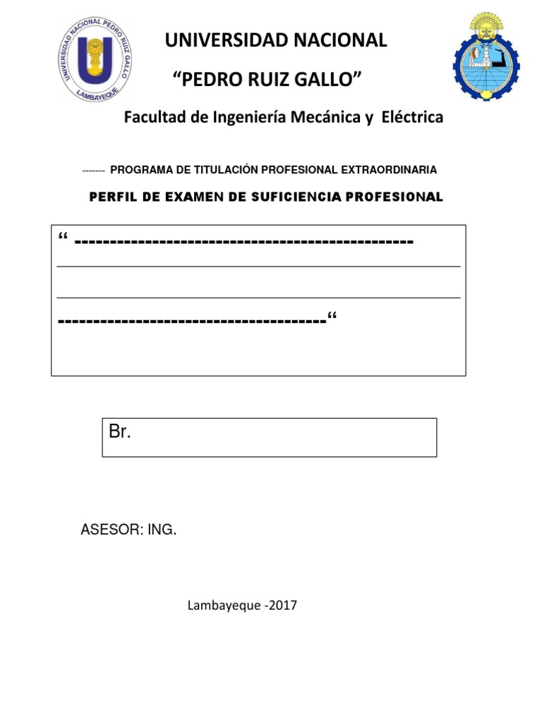 Modelo de Perfil Ptpe | PDF | Ingeniería | Ingenieria Eléctrica