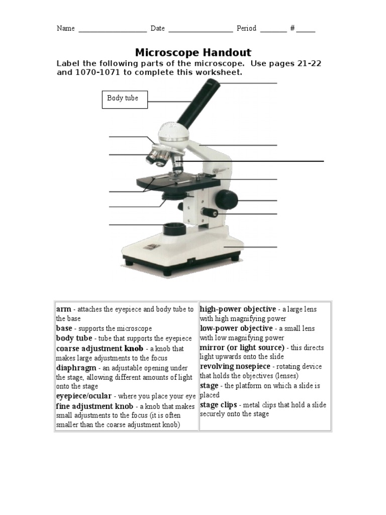 Microscope Handout  PDF Pertaining To Microscope Parts And Use Worksheet