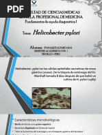 Ppt de Helicobacter Pylori