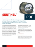 BR 07 Sentinelsolidstatemeter