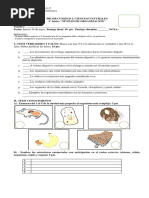 Prueba 5 Unidad 2 Cienias Naturales
