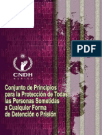 foll-Principios-Proteccion-Detencion-Prision.pdf