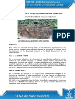 Sistemas OHSAS.pdf