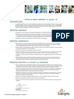 Política Global Relativa Al Medio Ambiente, La Salud Y La Seguridad (Ehs)