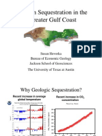 Carbon Sequestration in The Greater Gulf Coast