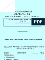 Puntos Motores Orofaciales - Castillo Morales