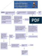 esquema-del-amparo[1].pdf