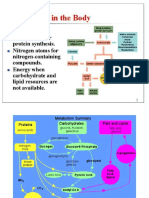 Metabolism e Prot 1