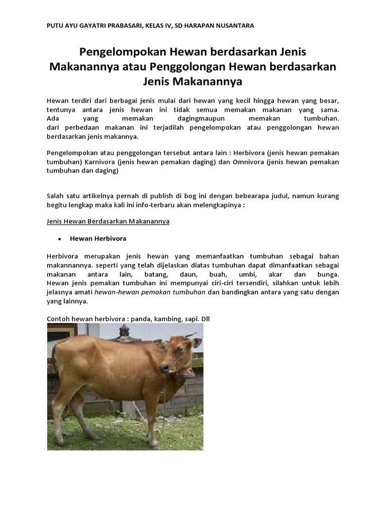 62 Gambar Gambar Hewan Berdasarkan Jenis Makanannya HD Terbaru