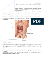 16-Anatomia-II-09.11.15-Cavità Orale, Visione Esterna Palato Lingua e Arterie