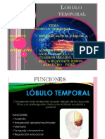 DIA POSITIVAS TEMPORAL.pdf