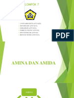 Amina Dan Amida