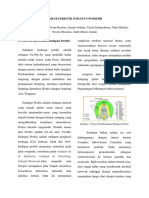 ENDAPAN PORFIRI(PAPUA).pdf