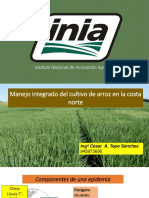 Rendimiento y calidad del cultivo de arroz en la costa norte