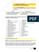 Lectura Peligro y Riesgo en Seguridad PDF