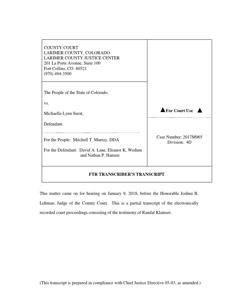 Michaella Surat Case: Officer Randal Klamser Statement | PDF | Bouncer ...