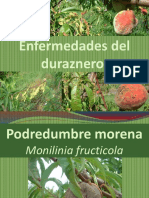 Enfermedades del duraznero.pptx