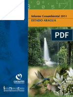 Informe Geoambiental Aragua PDF