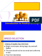 husbandry 2.pdf