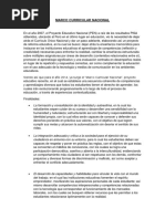 MARCO CURRICULAR NACIONAL.docx