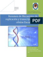 Mecanismo de Replicación y Transcripcion en Eucariontes