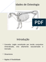2 - CIS2728 - Generalidades de Osteologia