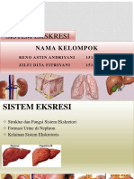 SISTEM EKSKRESI fiix.pptx