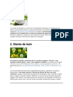 Plantas Medicinales 2