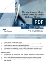 CAE-softminero.pdf