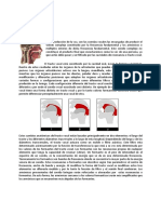 acustica-del-tracto-vocal.pdf