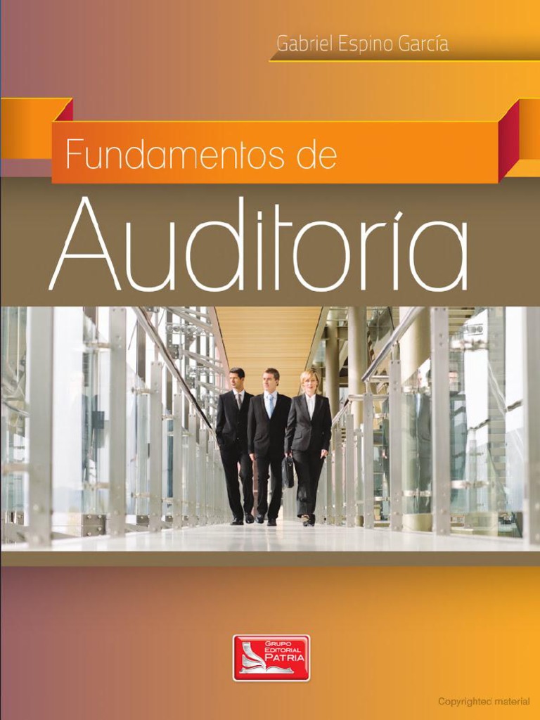 Fundamentos De Auditoria Pdf Pdf