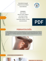 Exposicion Perinatologia