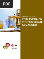 brochurep6PPMavanzado.pdf
