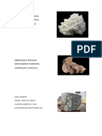 MINERAL.docx
