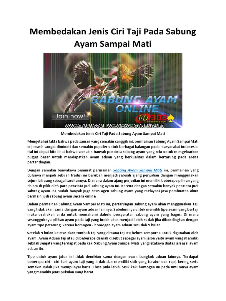 Membedakan Jenis Ciri Taji Pada Sabung Ayam Sampai Mati