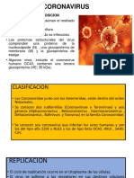 Coronavirus: Estructura Y Composicion