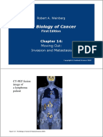 invasion and metastasis.pdf
