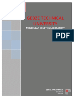 Recombinant Gene Expression and Sds-Page