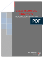 Biochemical Activities of Bacterias