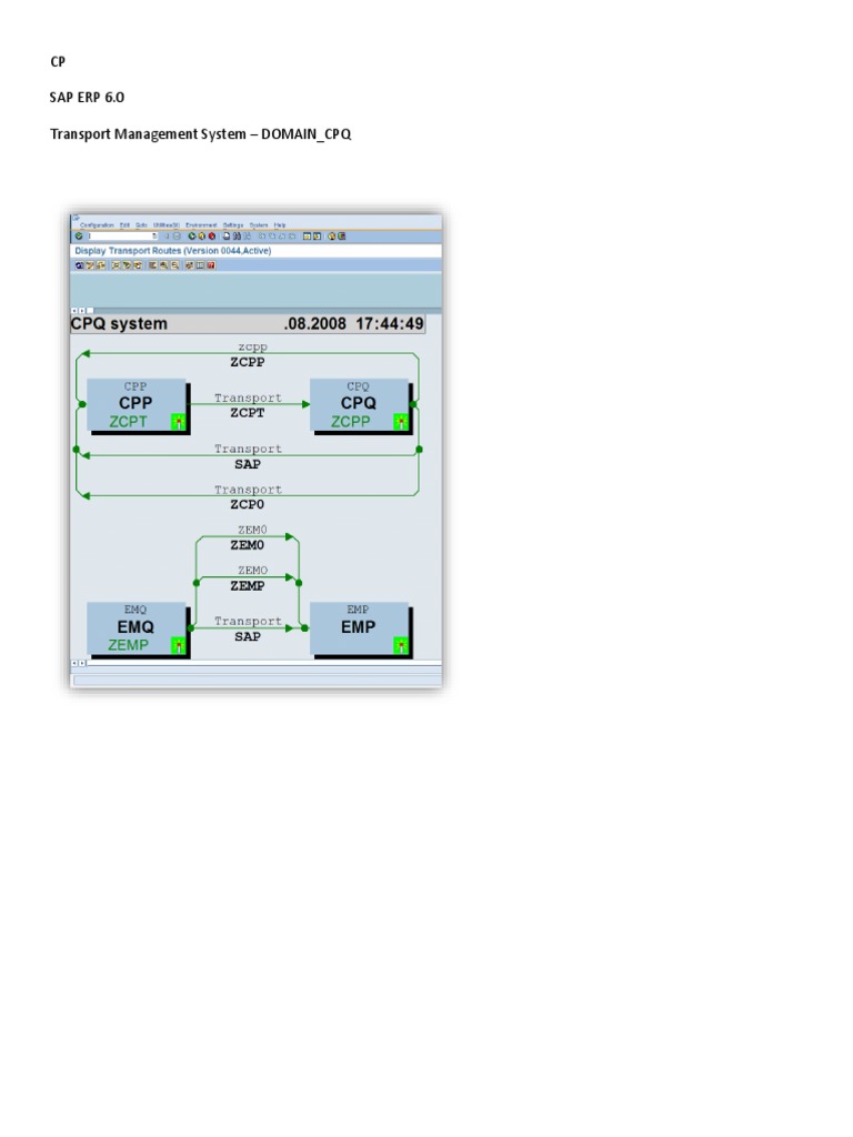 cp-sap-erp-6-0-transport-management-system-domain-cpq-pdf