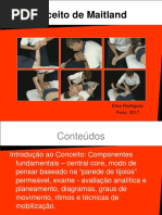 Conceito de Maitland