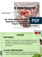 Ileus Obstruksi Oke