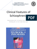 Clinical Features of Schizophrenia MkII