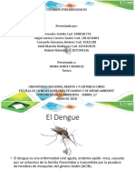 Diapositivas El DENGUE