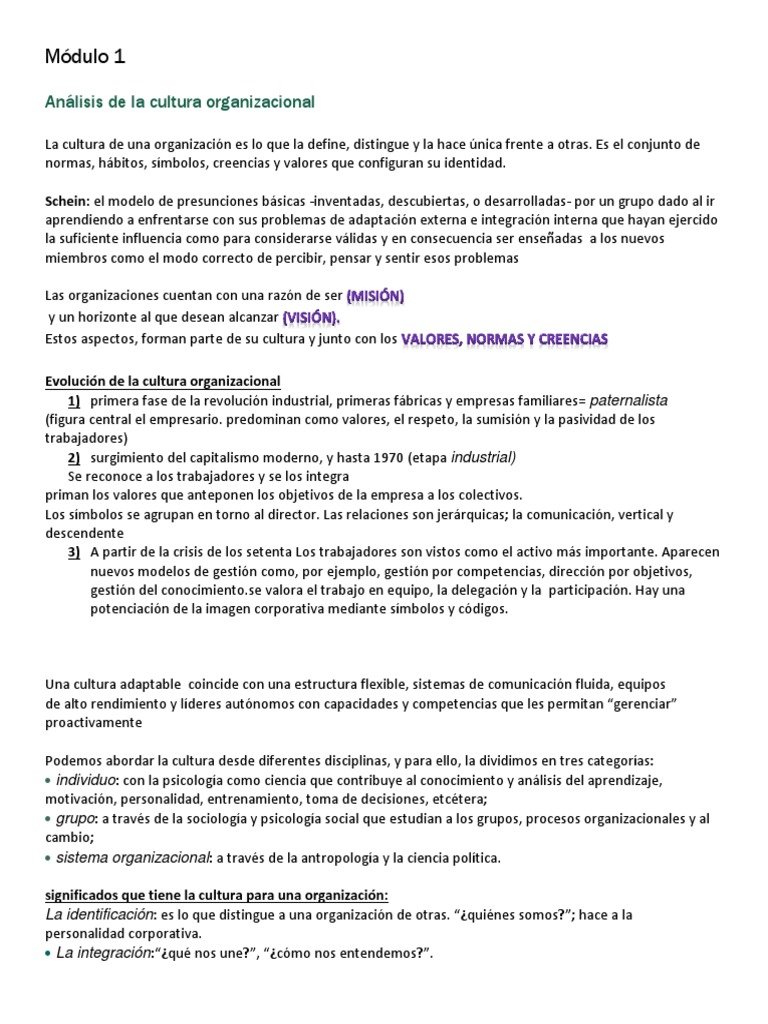 Análisis de la Cultura Organizacional | PDF | Cultura organizacional ...