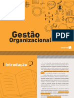 Gestão Organizacional