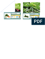 PDF Cultivos