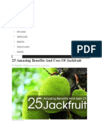 25 Amazing Benefits and Uses of Jackfruit: Vineetha Fruits